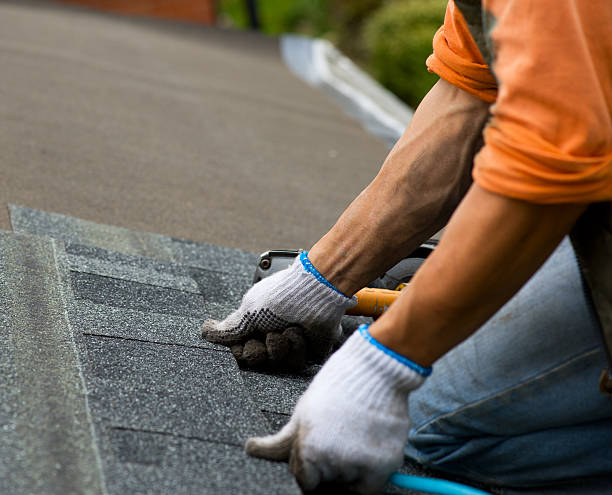 Roof Gutter Cleaning in Catawba, SC